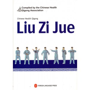 Liu Zi Jue (Six sons Thérapeutiques)