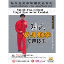Combat réel  Anshen Pao Quan (poing canon) style Sun  