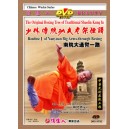 Shaolin 1ème enchaînement de Nanyuan grand bras à travers