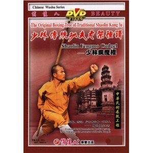 Shaolin bâton de Fengmo