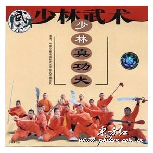 Shaolin Kung Fu authentique(VCD)