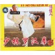 Shaolin Luo Hanquan(VCD)